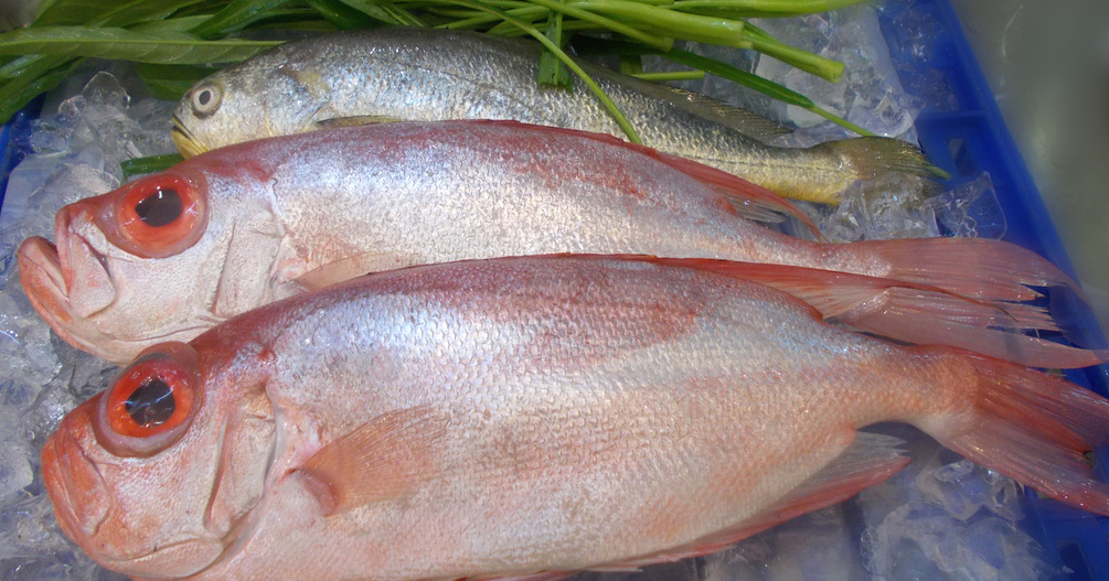 冰鮮魚進口需要提供哪些單證資料？